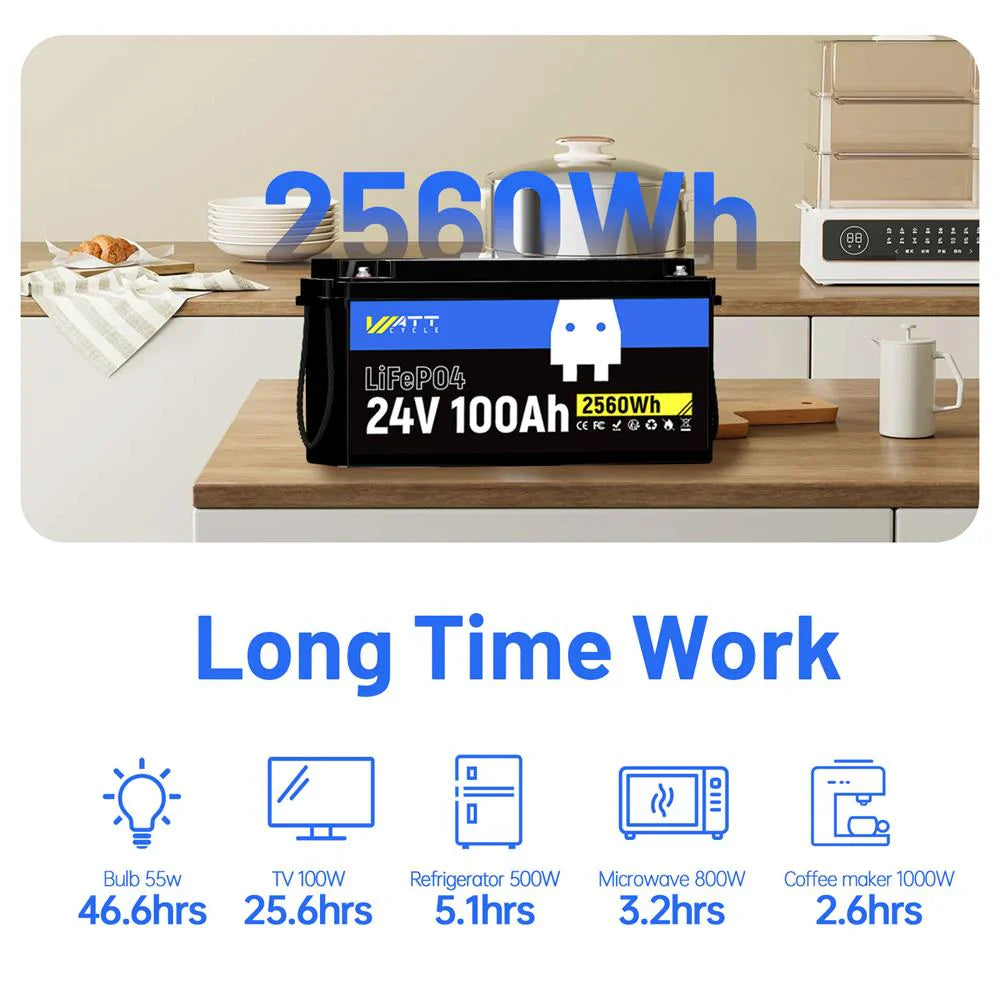 24V 100Ah LiFePO4 Battery | 100A BMS | 2560Wh