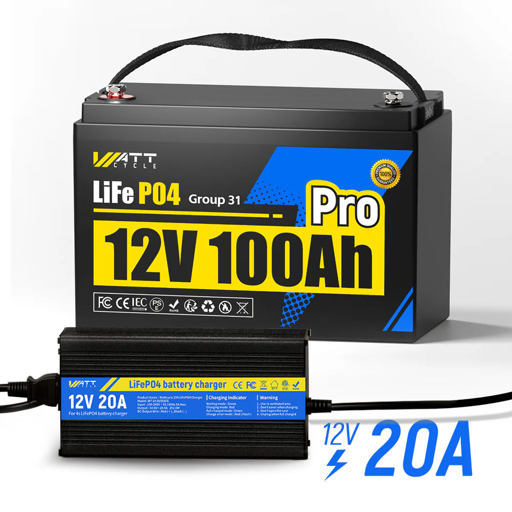 12V 100Ah Pro Group 31 LiFePO4 Battery with 110A BMS Upgrade
