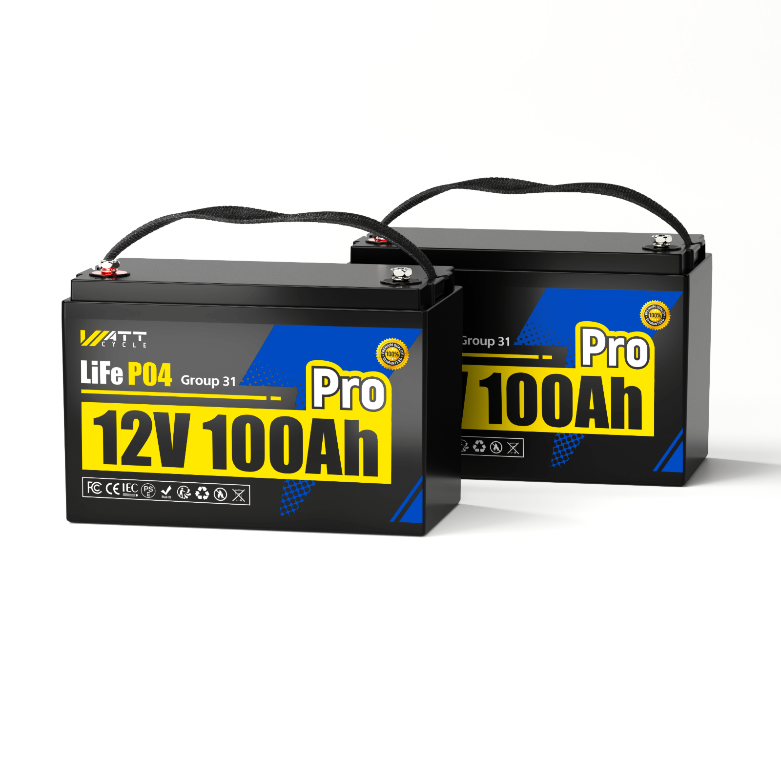 12V 100Ah Pro Group 31 LiFePO4 Battery with 110A BMS Upgrade