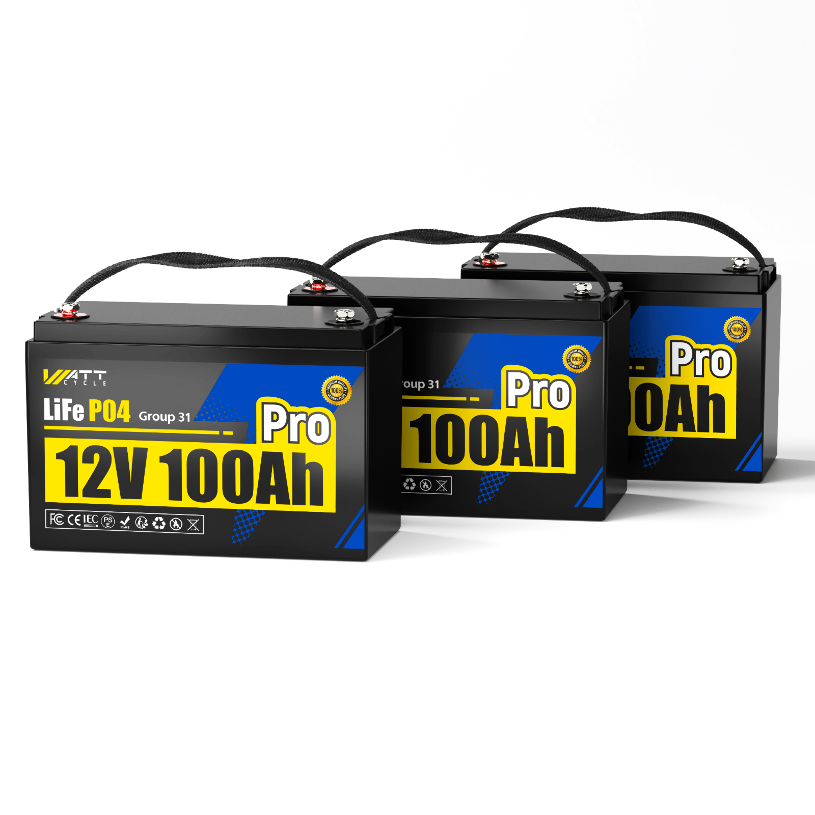 12V 100Ah Pro Group 31 LiFePO4 Battery with 110A BMS Upgrade