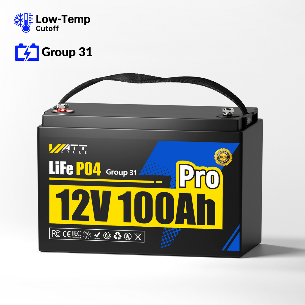 12V 100Ah Pro Group 31 LiFePO4 Battery with 110A BMS Upgrade