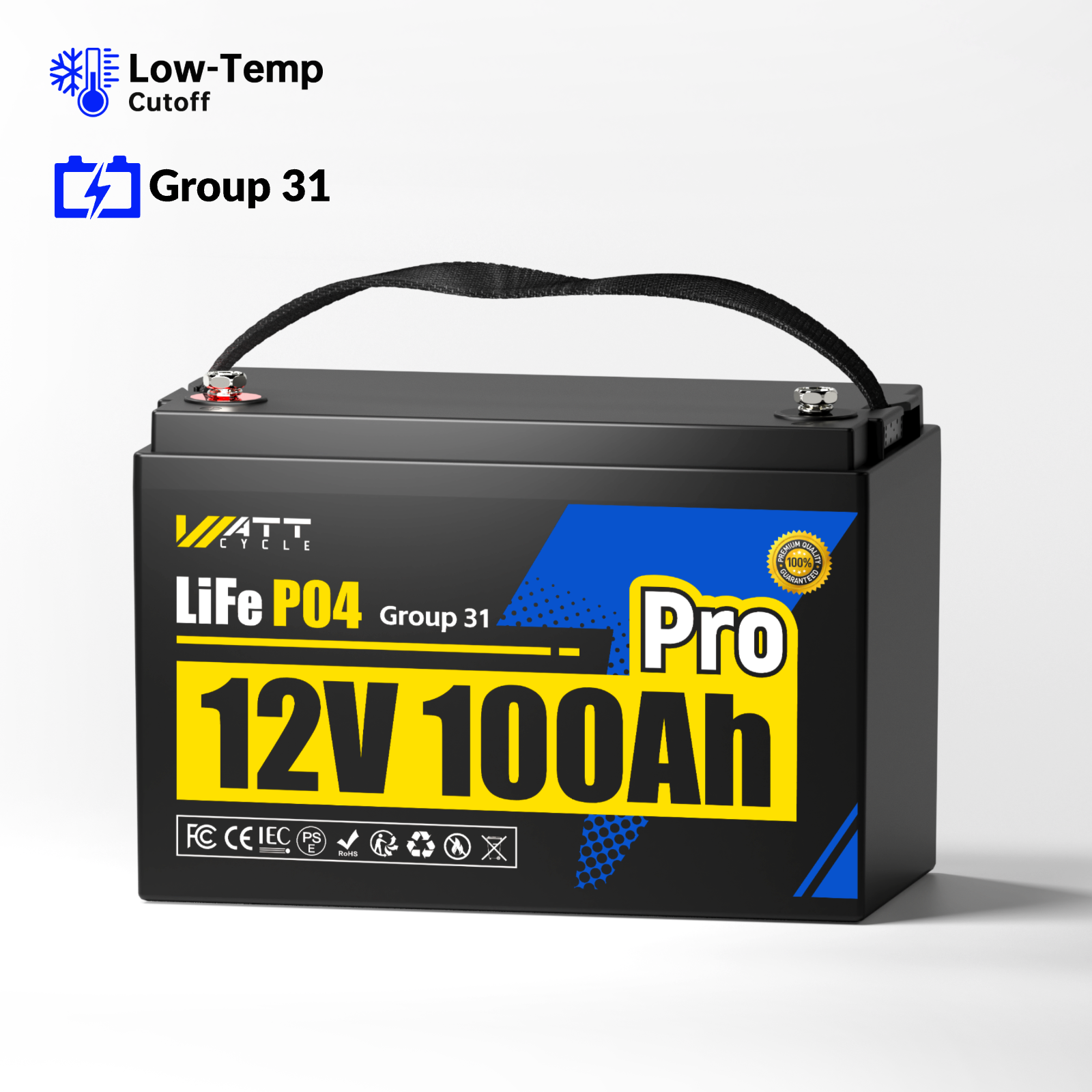 12V 100Ah Pro Group 31 LiFePO4 Battery with 110A BMS Upgrade