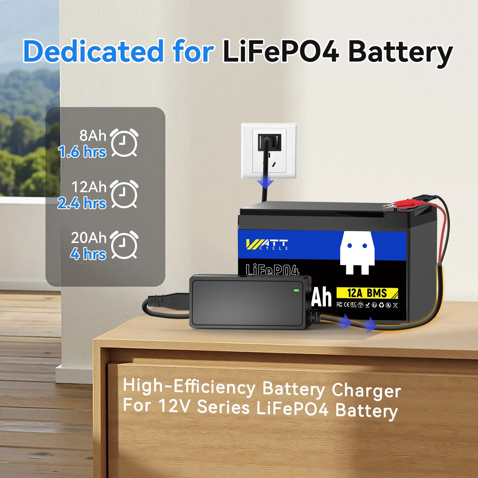 14.6V 5A Plastic Shell LiFePO4 Battery Charger