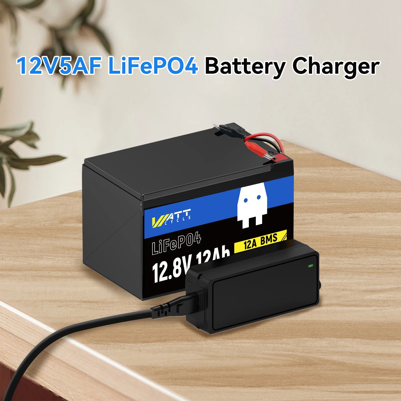 14.6V 5A Plastic Shell LiFePO4 Battery Charger