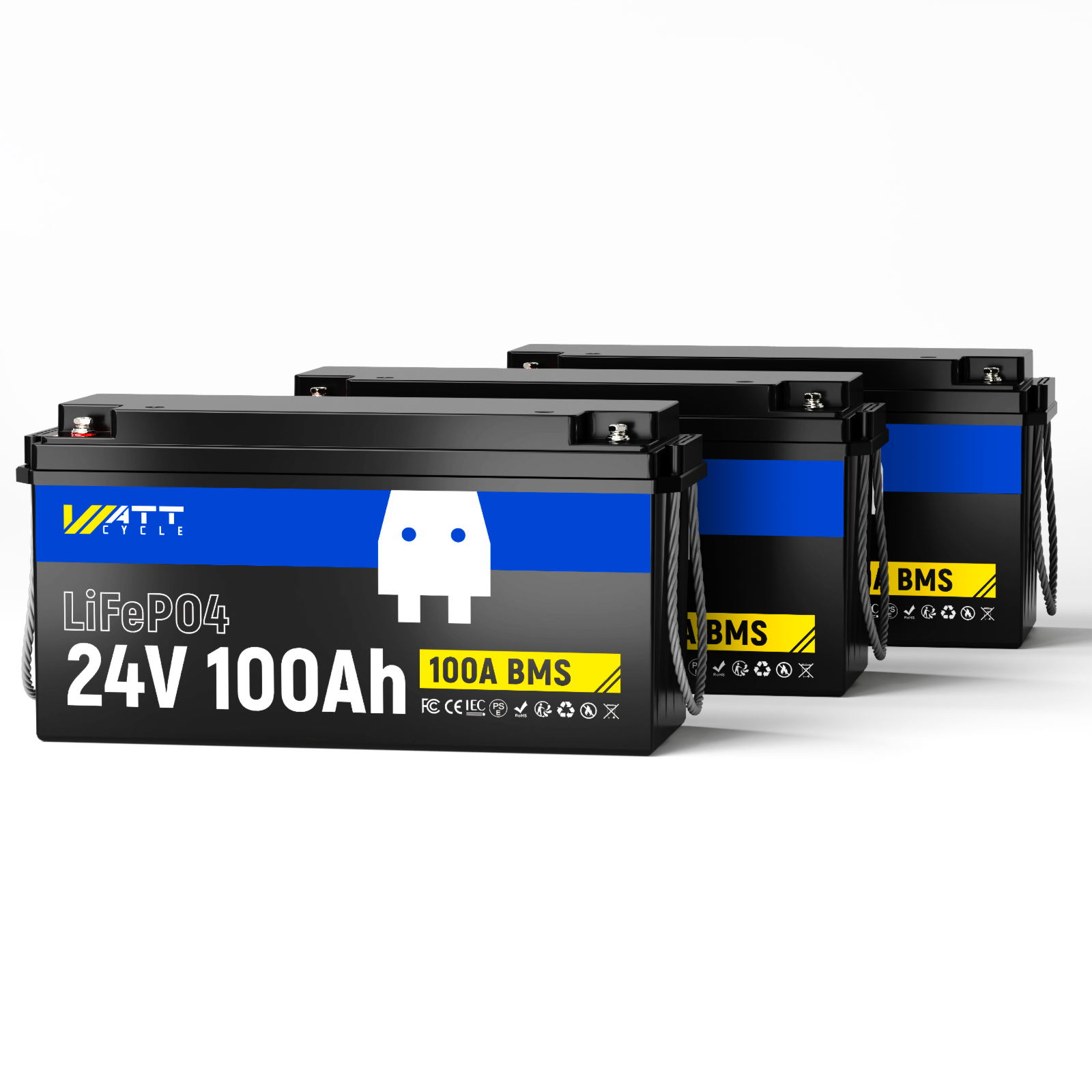 24V 100Ah LiFePO4 Battery | 100A BMS | 2560Wh
